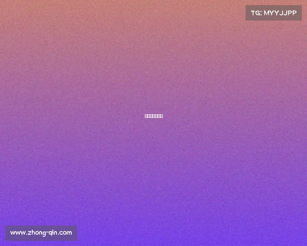 安索帕中国集团